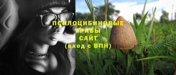 альфа пвп Лиски