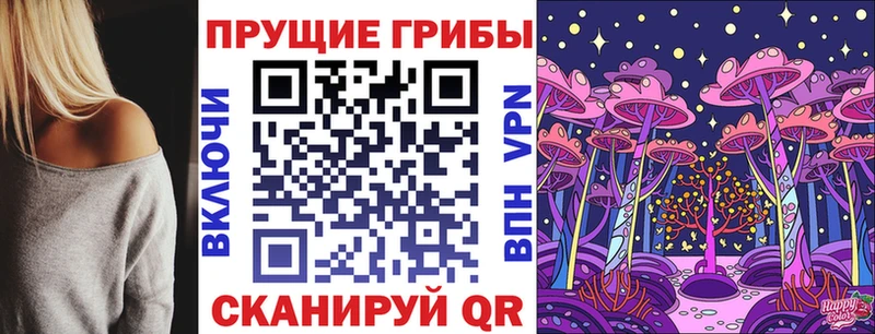 Галлюциногенные грибы Psilocybine cubensis  Куйбышев 
