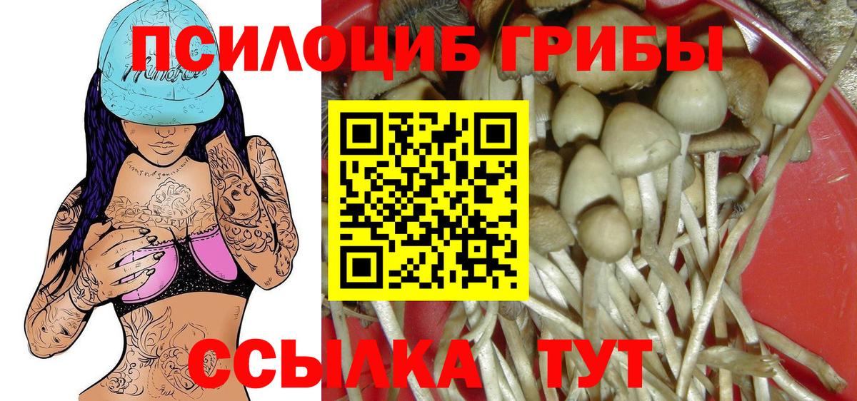 Куйбышев  Галлюциногенные грибы ЛСД  Вход с VPN  где можно купить   Галлюциногенные грибы Cubensis 