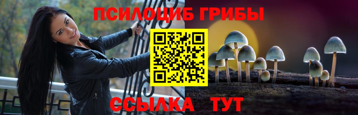 Псилоцибиновые грибы Psilocybe Куйбышев